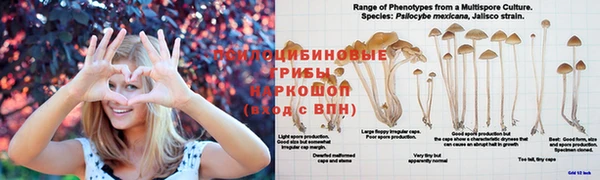 синтетический гашиш Вяземский