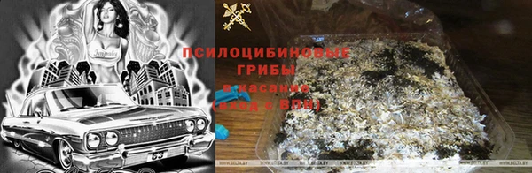прущая мука Вязьма