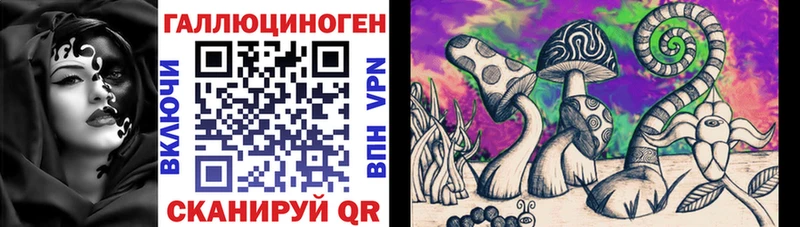 Купить закладки  Осташков  Галлюциногенные грибы Magic Shrooms 